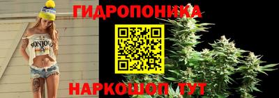 ECSTASY Лесосибирск